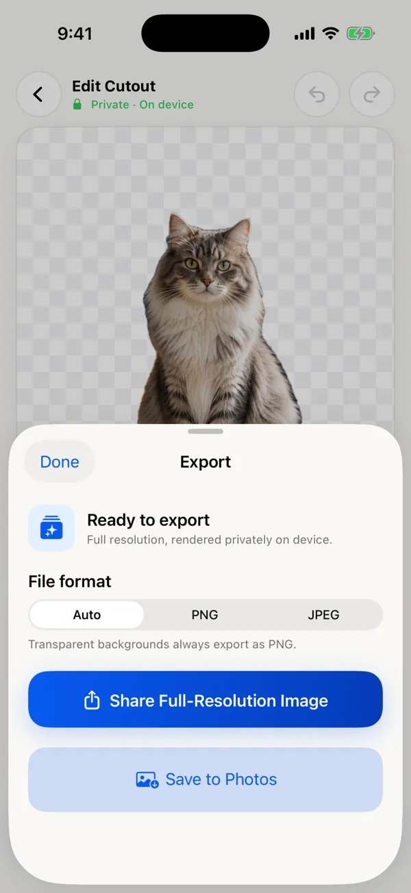 Export sheet with Auto, PNG, and JPEG formats and Share or Save to Photos buttons